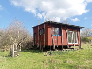 seances de therapie dans le cabanon